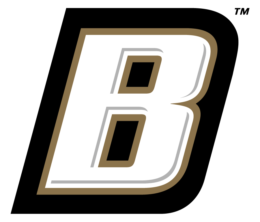Bryant Bulldogs 2004-Pres Secondary Logo diy iron on heat transfer